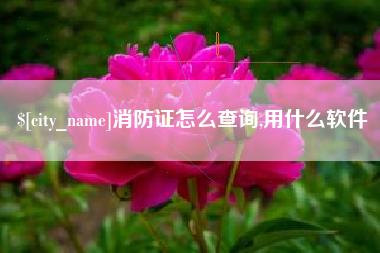 鹿邑消防证怎么查询,用什么软件