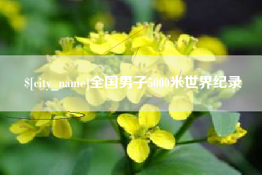 鹿邑全国男子5000米世界纪录