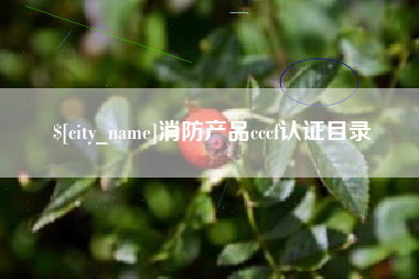 鹿邑消防产品cccf认证目录