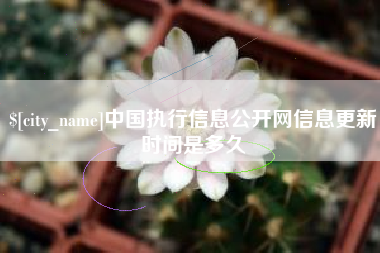 鹿邑中国执行信息公开网信息更新时间是多久