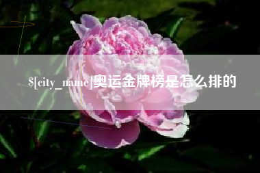 鹿邑奥运金牌榜是怎么排的