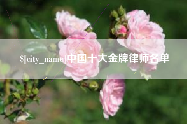鹿邑中国十大金牌律师名单