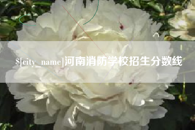 鹿邑河南消防学校招生分数线