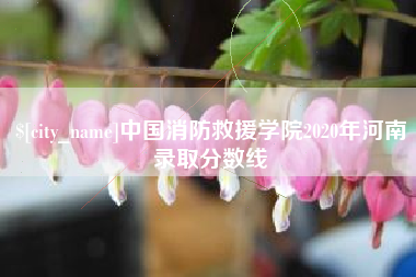 鹿邑中国消防救援学院2020年河南录取分数线