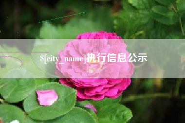 鹿邑执行信息公示