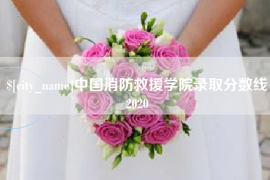 鹿邑中国消防救援学院录取分数线2020