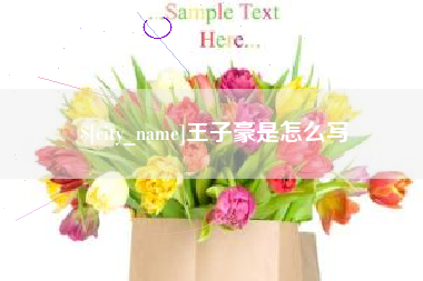 鹿邑王子豪是怎么写