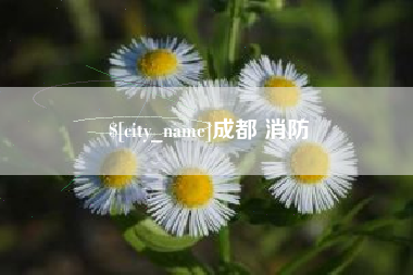 鹿邑成都 消防