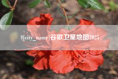 鹿邑谷歌卫星地图2025