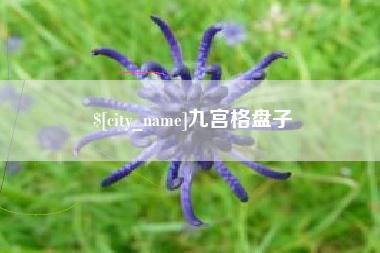 鹿邑九宫格盘子