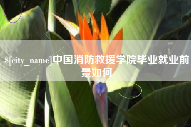 鹿邑中国消防救援学院毕业就业前景如何