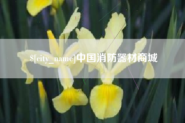 鹿邑中国消防器材商城