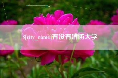 鹿邑有没有消防大学