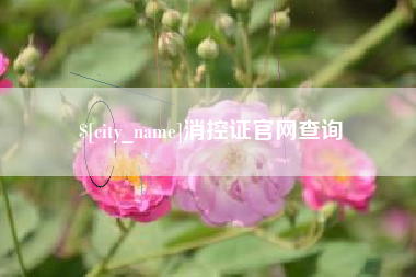 鹿邑消控证官网查询