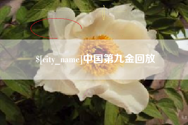 鹿邑中国第九金回放
