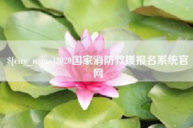 鹿邑2020国家消防救援报名系统官网