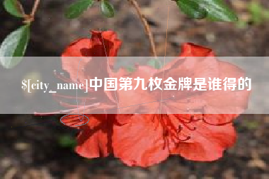鹿邑中国第九枚金牌是谁得的