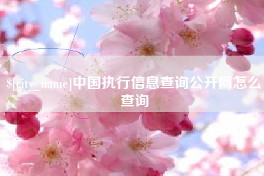 鹿邑中国执行信息查询公开网怎么查询