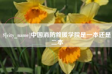 鹿邑中国消防救援学院是一本还是二本