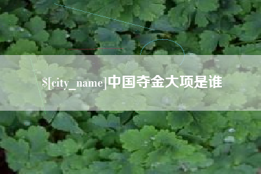 鹿邑中国夺金大项是谁
