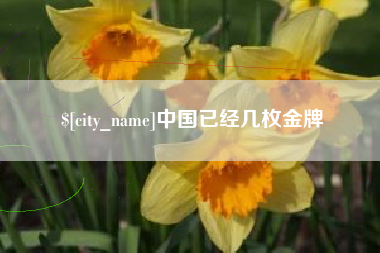 鹿邑中国已经几枚金牌