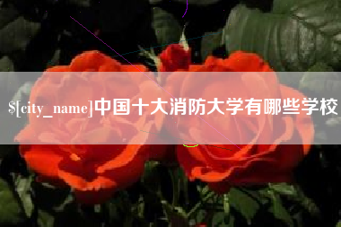 鹿邑中国十大消防大学有哪些学校