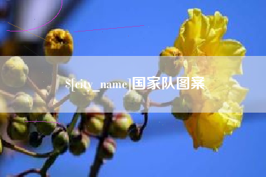 鹿邑国家队图案