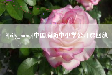 鹿邑中国消防中小学公开课回放