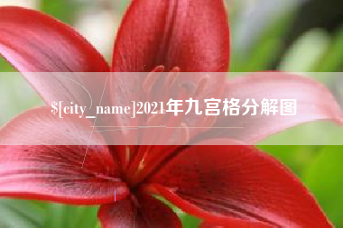 鹿邑2021年九宫格分解图