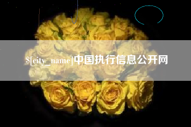 鹿邑中国执行信息公开网