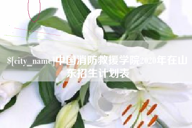 鹿邑中国消防救援学院2020年在山东招生计划表