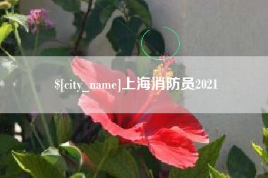 鹿邑上海消防员2021