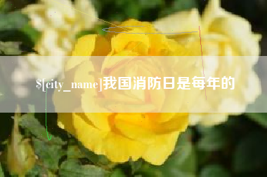 鹿邑我国消防日是每年的