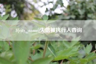 鹿邑失信被执行人杳询
