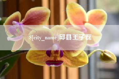 鹿邑邱县王子磊