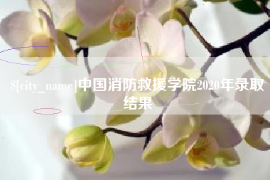 鹿邑中国消防救援学院2020年录取结果