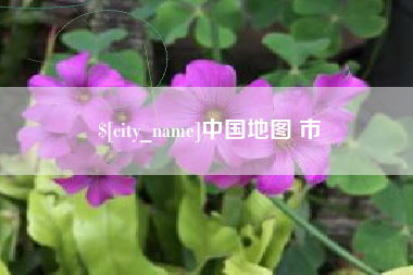 鹿邑中国地图 市