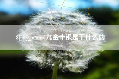鹿邑九金十银是干什么的