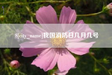 鹿邑我国消防日几月几号