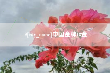 鹿邑中国金牌18金