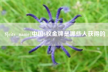 鹿邑中国6枚金牌是哪些人获得的