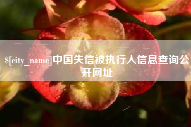 鹿邑中国失信被执行人信息查询公开网址