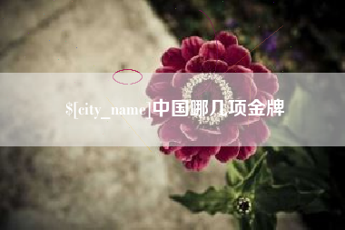 鹿邑中国哪几项金牌