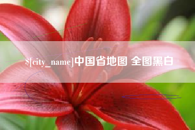 鹿邑中国省地图 全图黑白