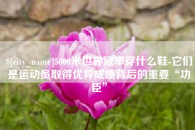 鹿邑5000米世界冠军穿什么鞋-它们是运动员取得优异成绩背后的重要“功臣”