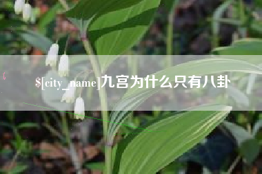 鹿邑九宫为什么只有八卦