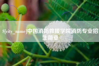 鹿邑中国消防救援学院消防专业招生简章