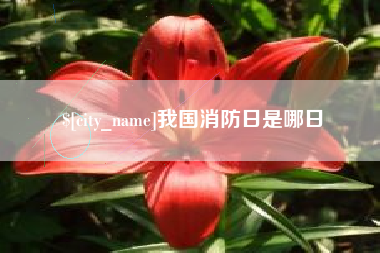 鹿邑我国消防日是哪日