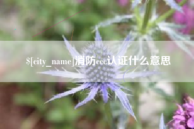 鹿邑消防ccc认证什么意思