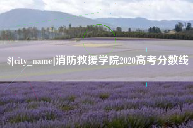 鹿邑消防救援学院2020高考分数线